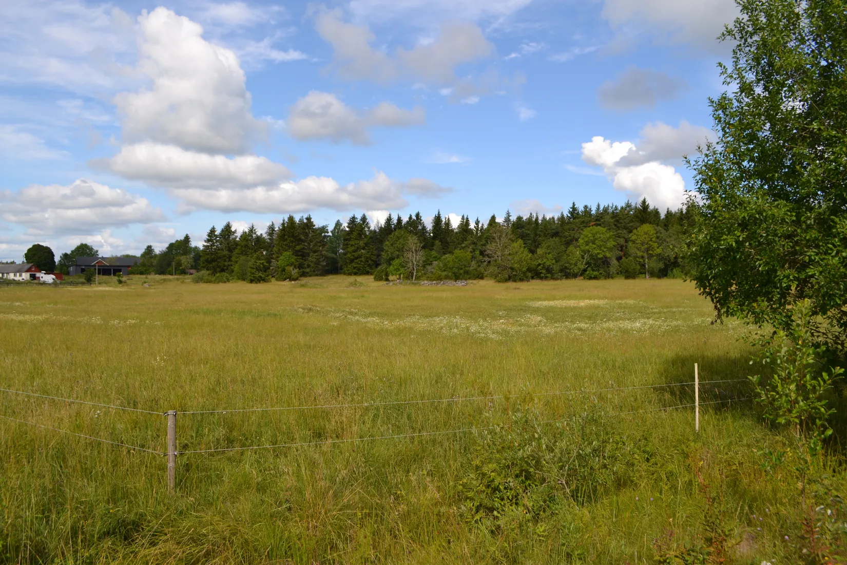 Tomt, Anderssvedjavägen 71, Anderssvedja, Norrtälje