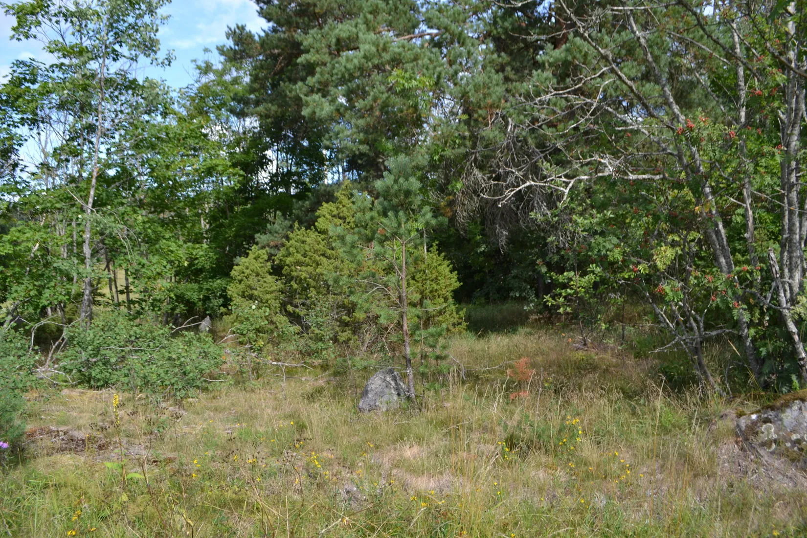 Tomt, Anderssvedjavägen 71, Anderssvedja, Norrtälje