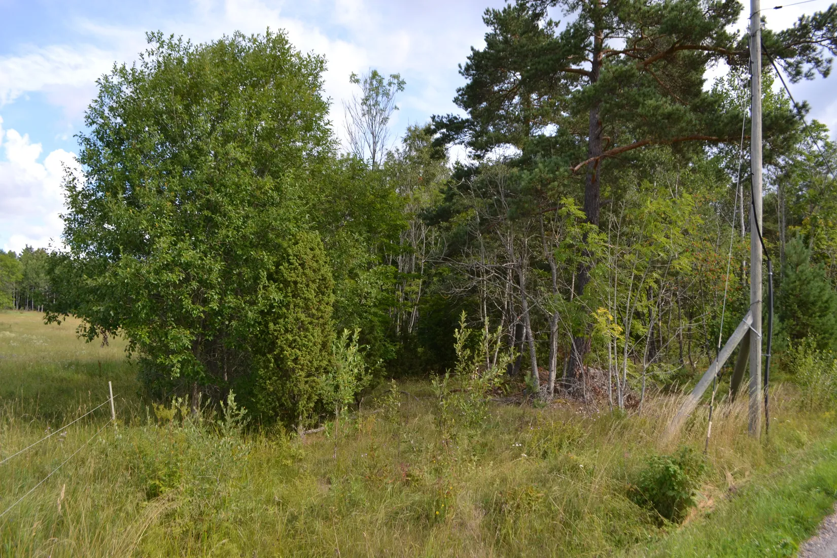 Tomt, Anderssvedjavägen 71, Anderssvedja, Norrtälje