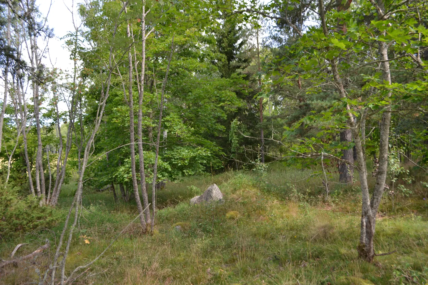 Tomt, Anderssvedjavägen 71, Anderssvedja, Norrtälje