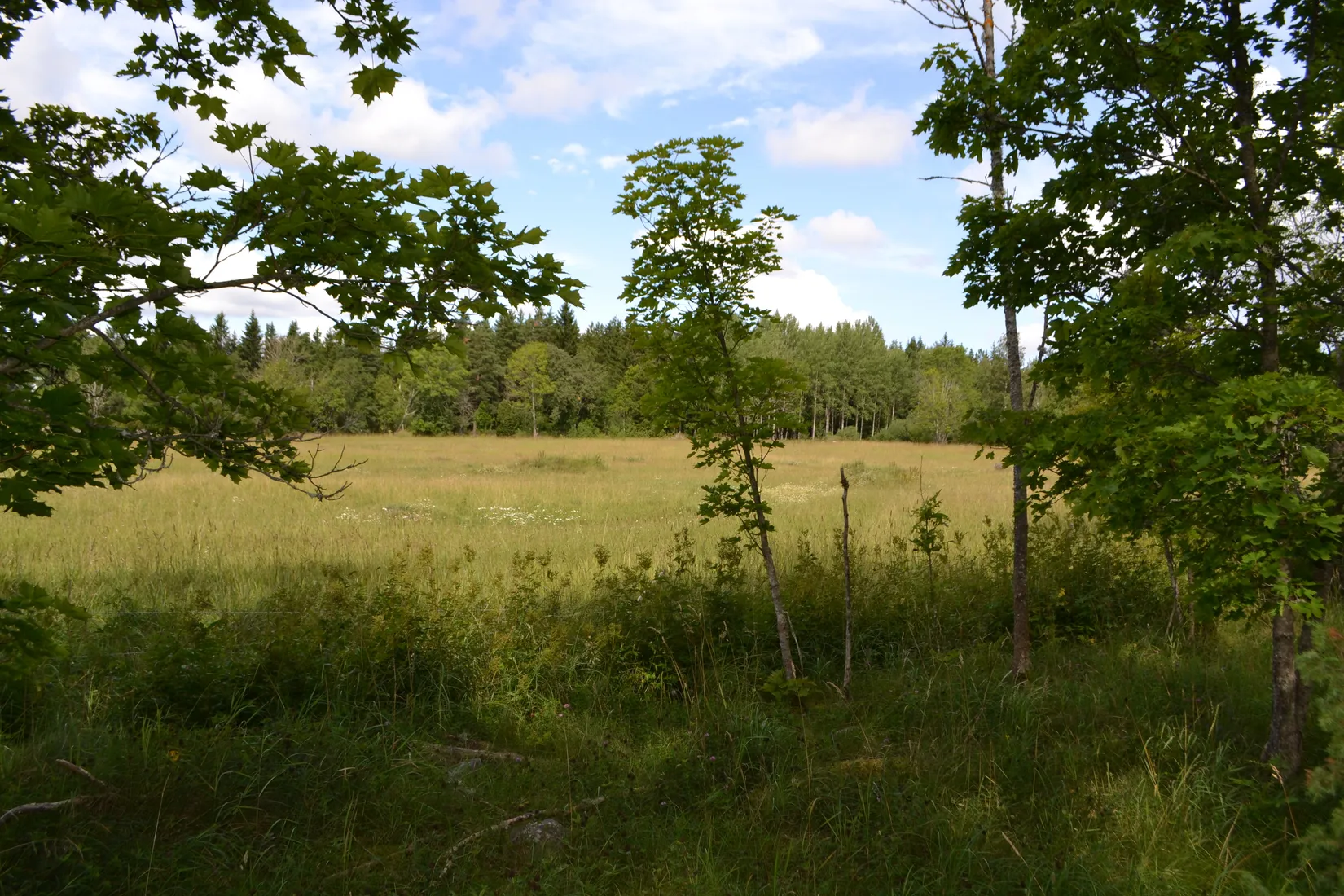 Tomt, Anderssvedjavägen 71, Anderssvedja, Norrtälje