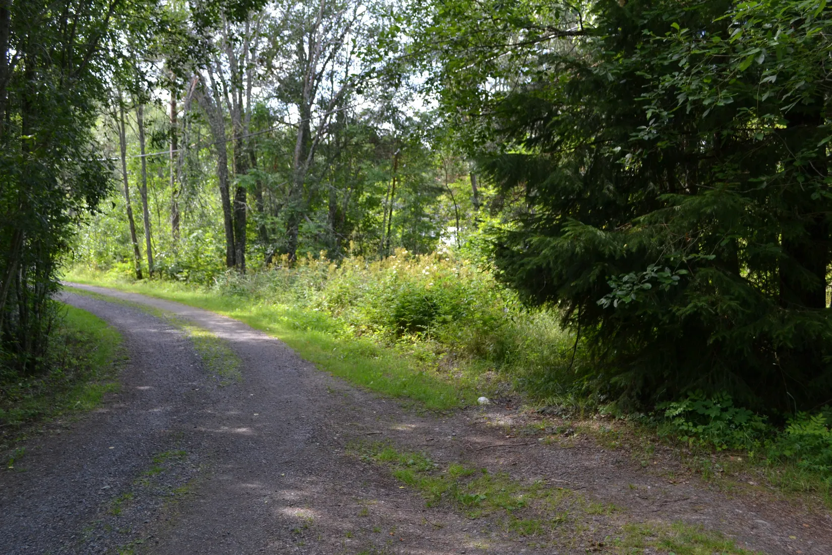 Tomt, Anderssvedjavägen 71, Anderssvedja, Norrtälje