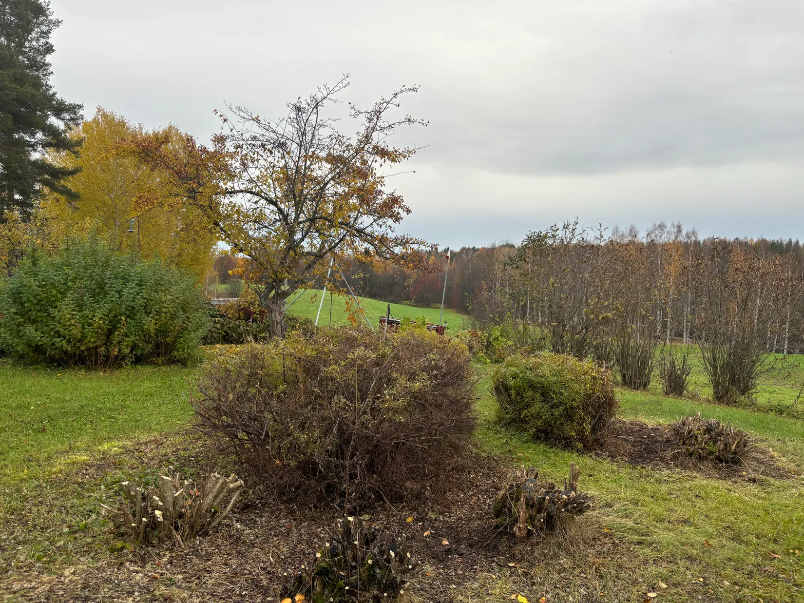 Villa, Radhus, Mobackavägen 11F, Mobacken, Skellefteå