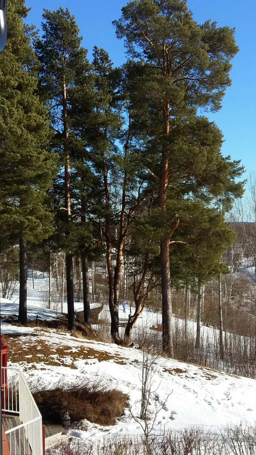 Villa, Radhus, Mobackavägen 11F, Mobacken, Skellefteå