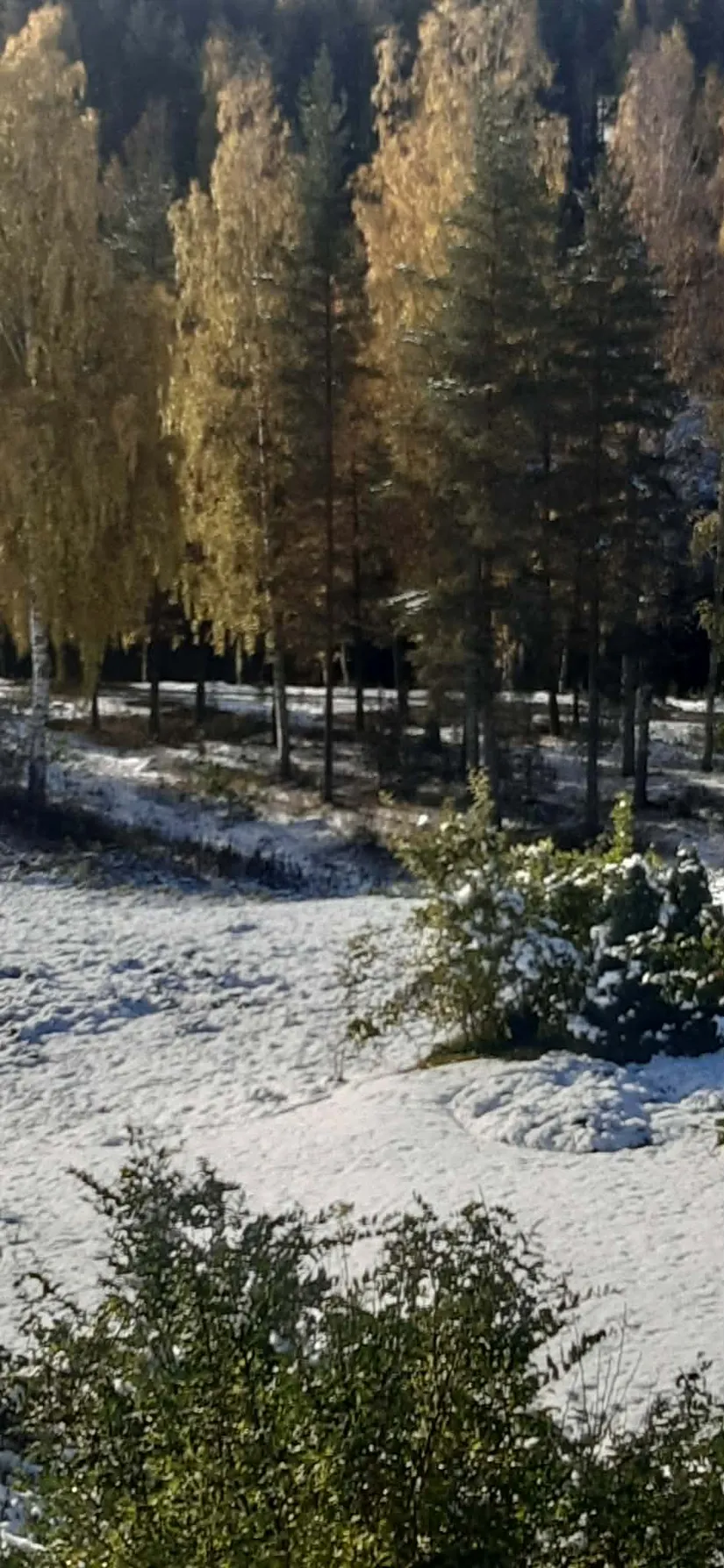 Villa, Radhus, Mobackavägen 11F, Mobacken, Skellefteå