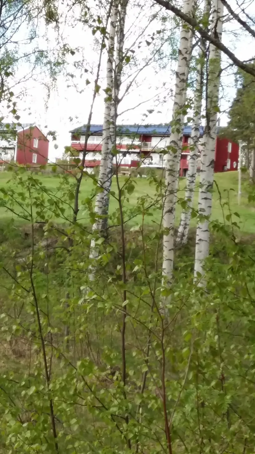 Villa, Radhus, Mobackavägen 11F, Mobacken, Skellefteå