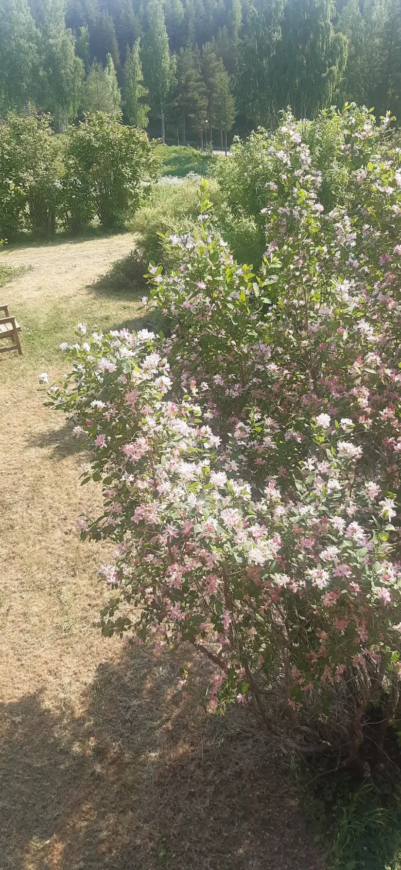 Villa, Radhus, Mobackavägen 11F, Mobacken, Skellefteå