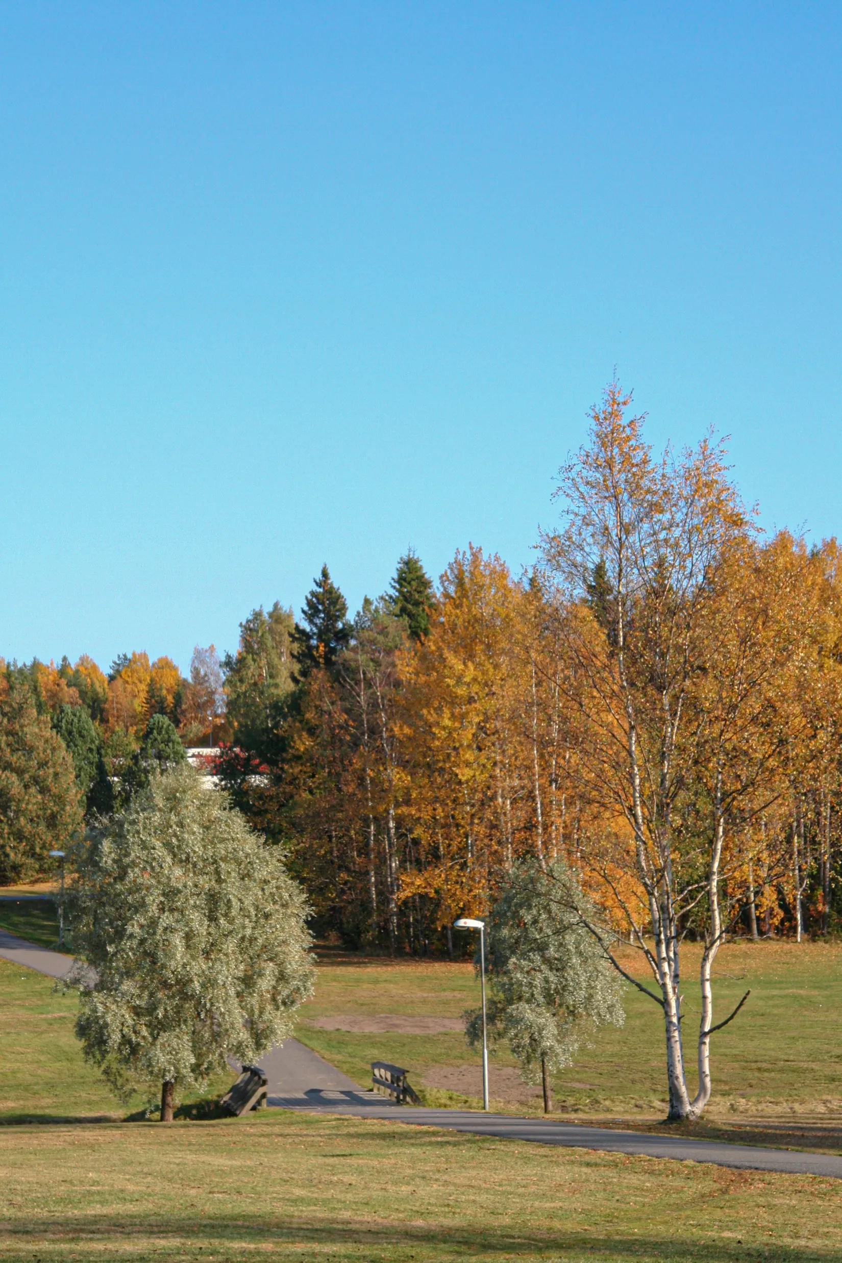 Bostadsrätt, Ostvägen 19A, Ersboda, Umeå