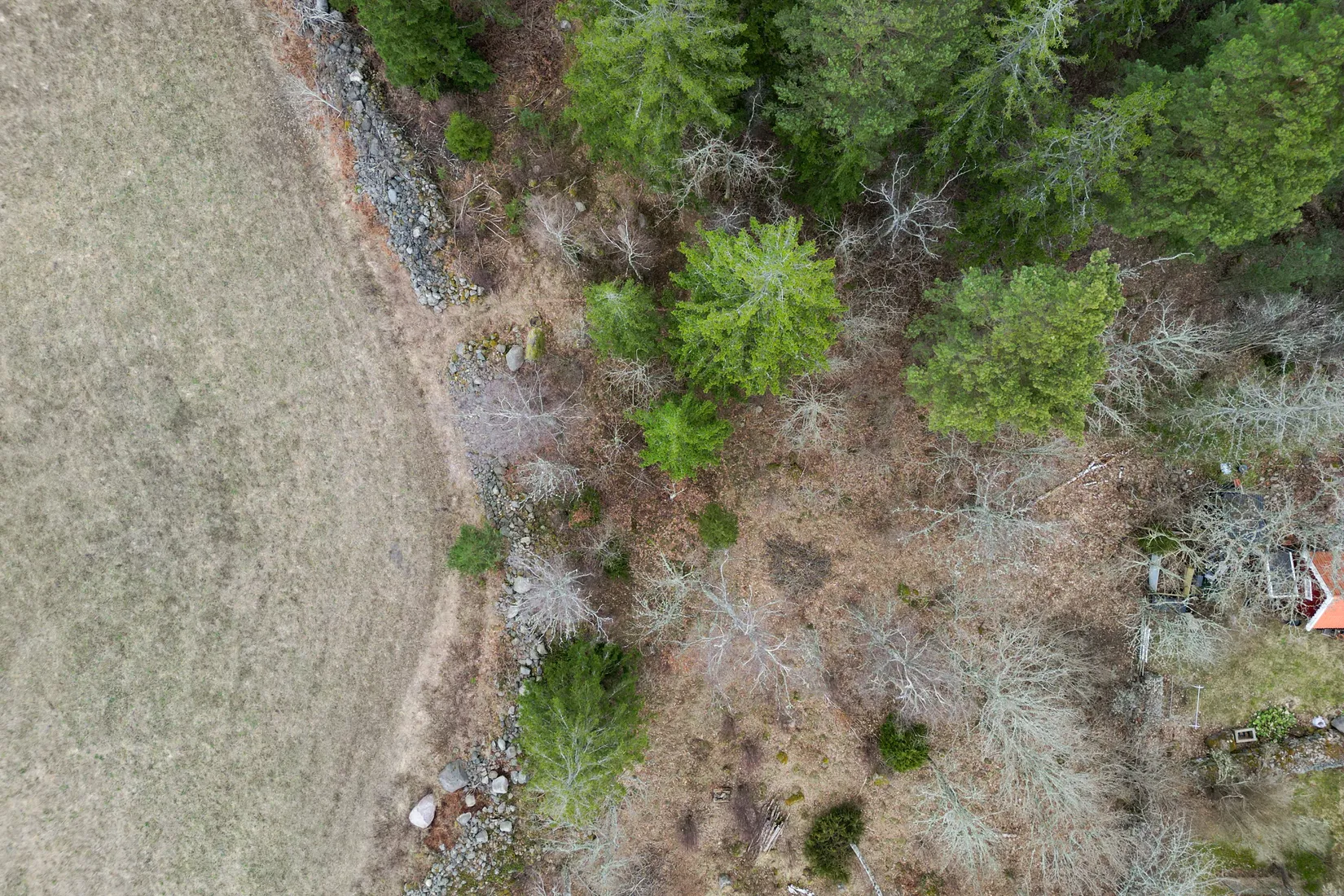 Tomt, KANNEMÅLA 1:15, Kalmar