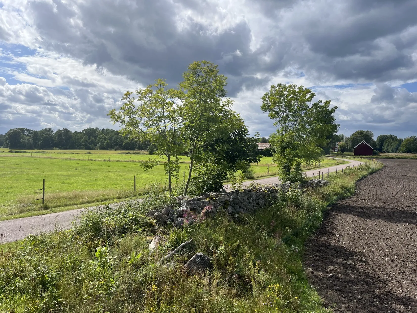 Tomt, KANNEMÅLA 1:15, Kalmar