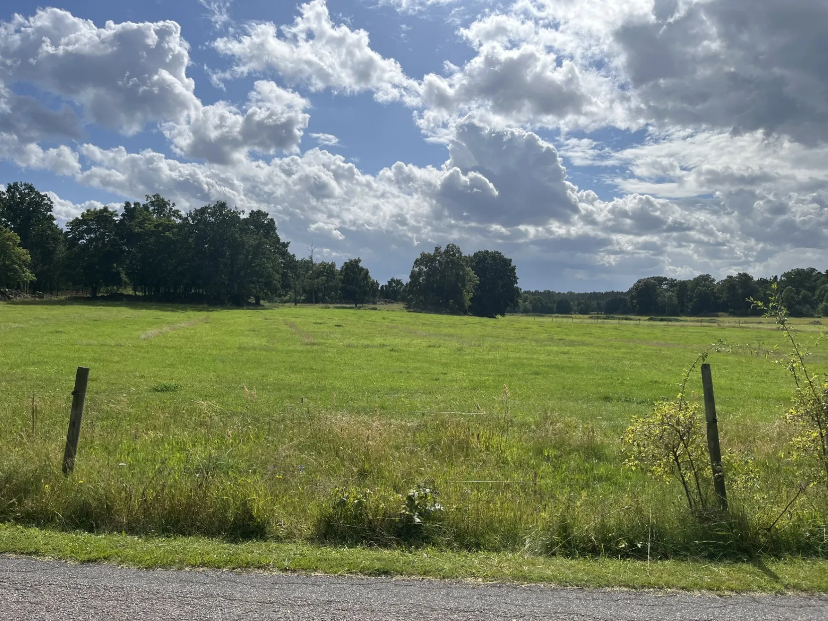 Tomt, KANNEMÅLA 1:15, Kalmar