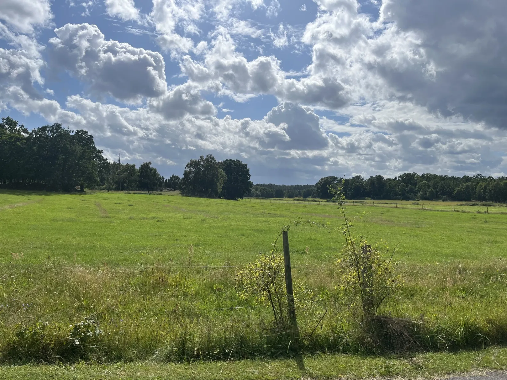 Tomt, KANNEMÅLA 1:15, Kalmar