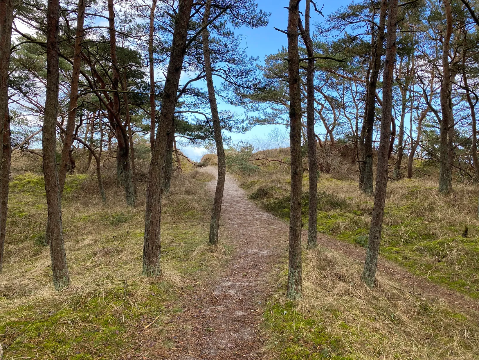 Villa, Sandby hedväg 2, Sandby strand, Simrishamn