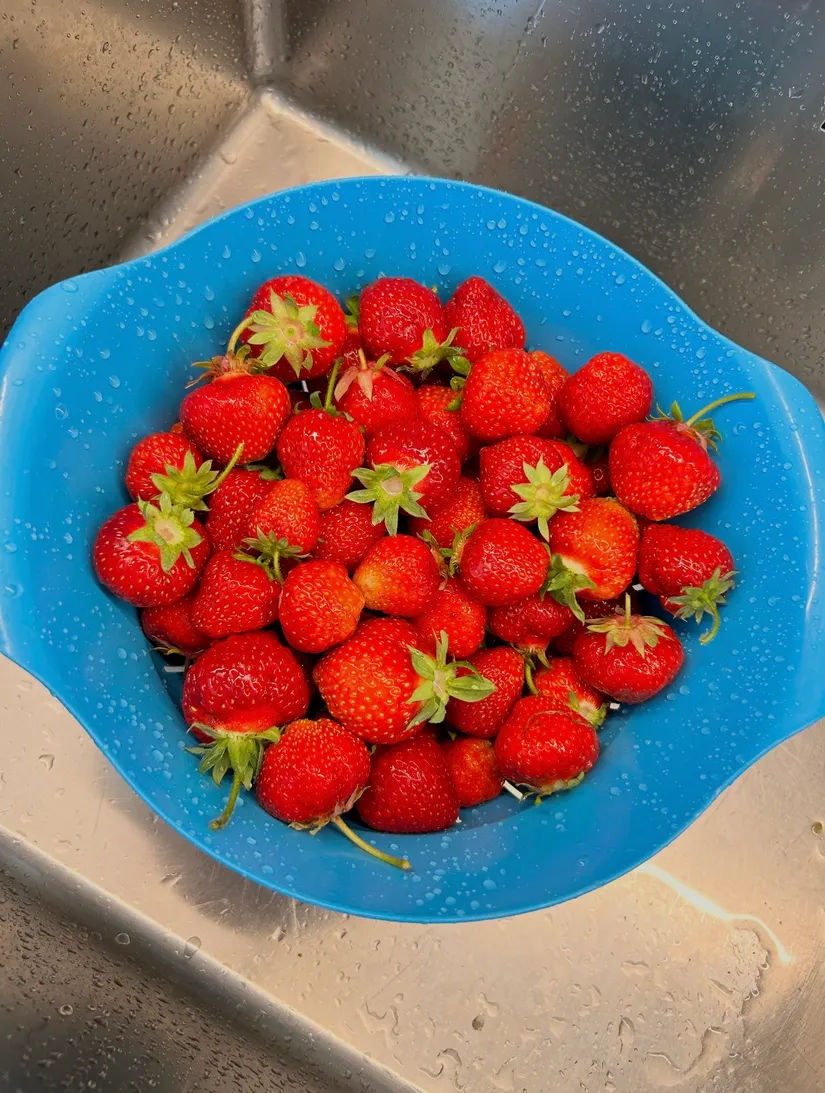 Villa, Kittelgatan 17, Gotland