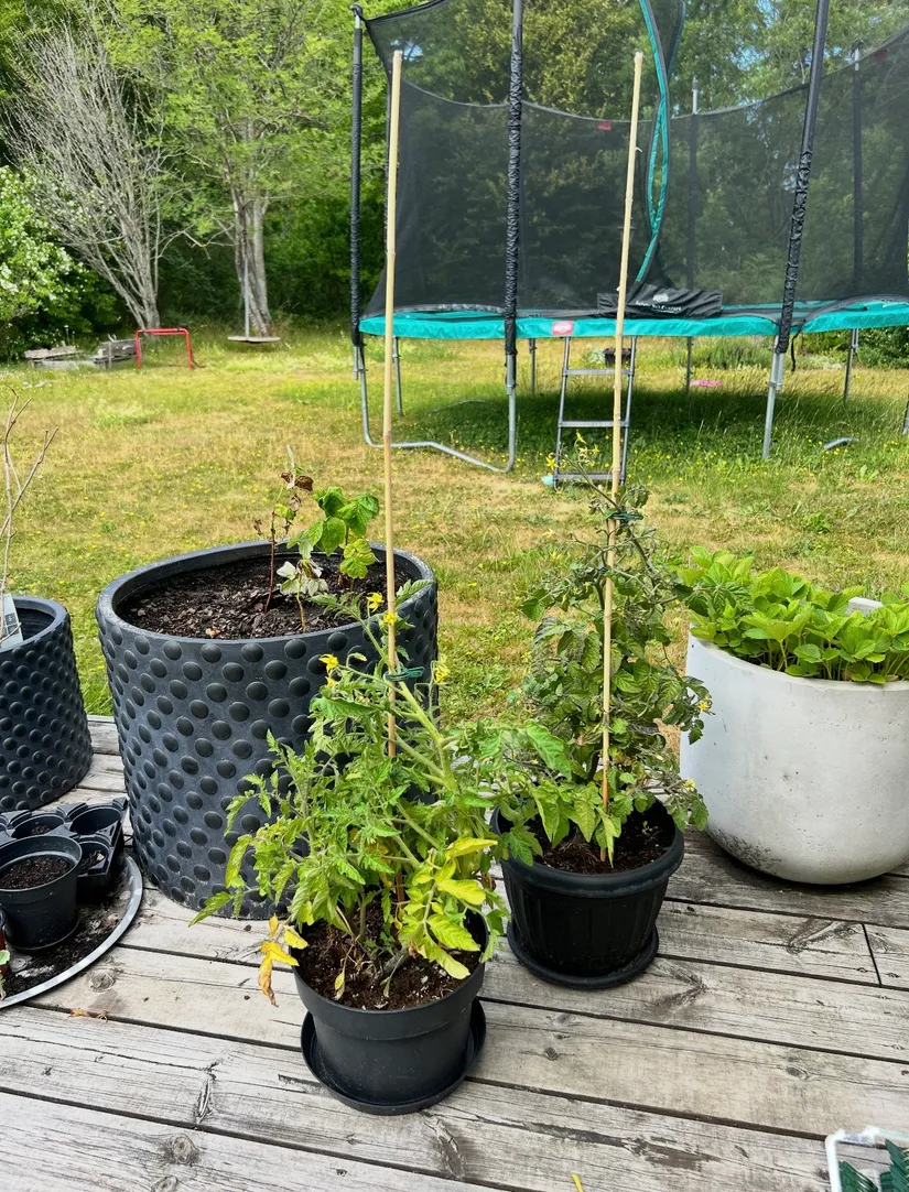 Villa, Kittelgatan 17, Gotland