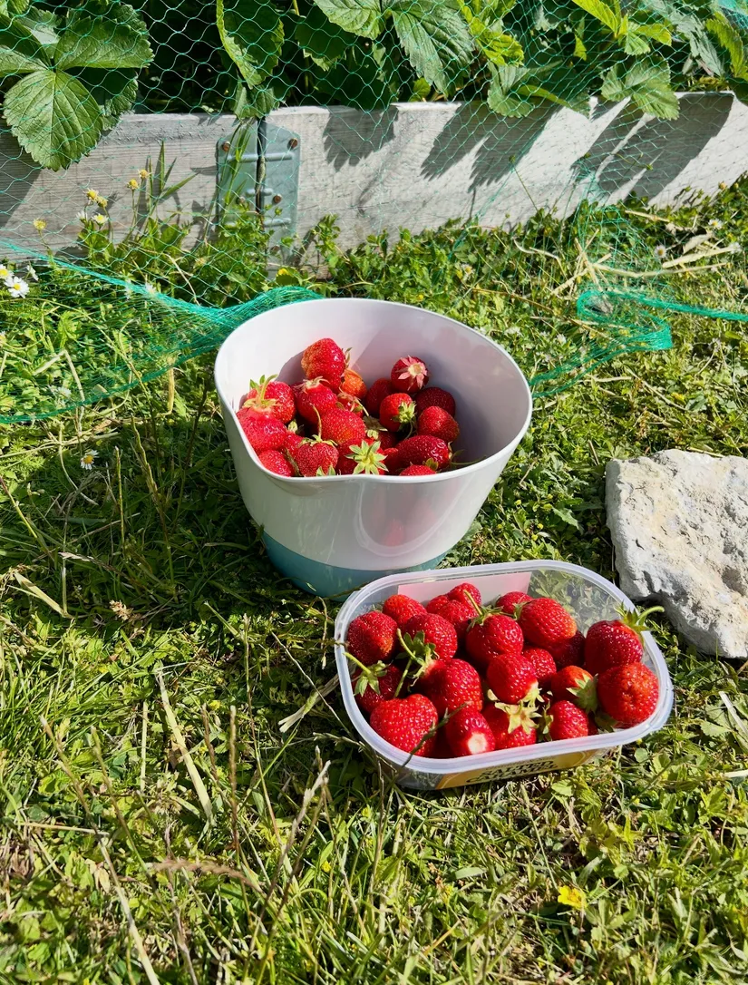 Villa, Kittelgatan 17, Gotland