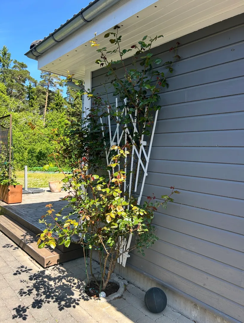 Villa, Kittelgatan 17, Gotland