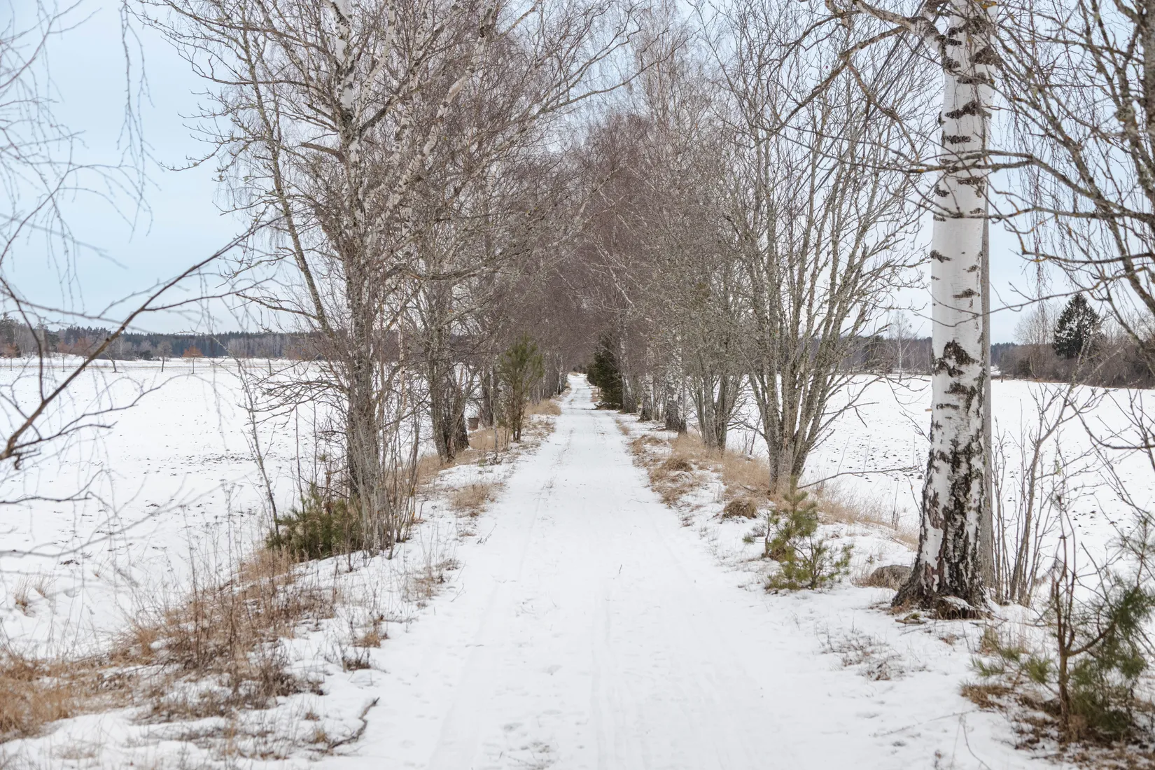 Tomt, Hammarby 4, Hammarby, Eskilstuna