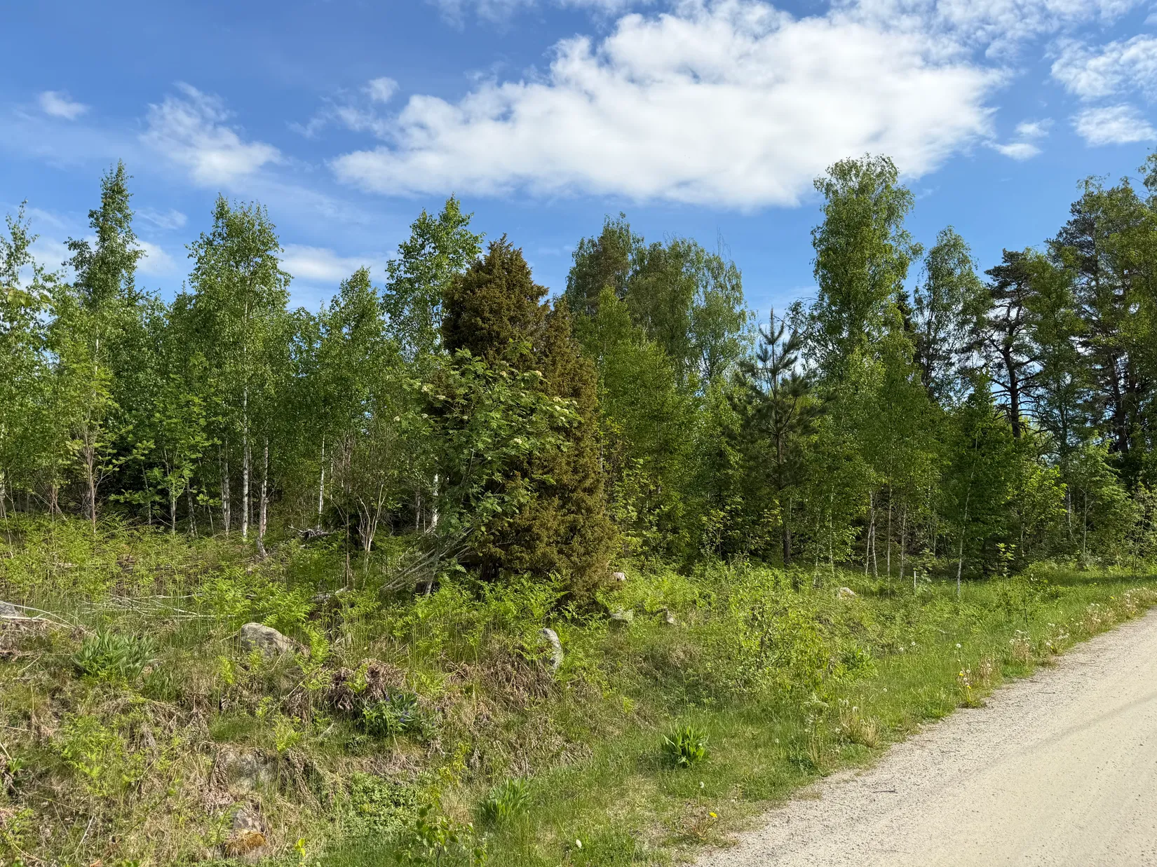 Tomt, Rilandavägen 54 & 56, Rö, Norrtälje