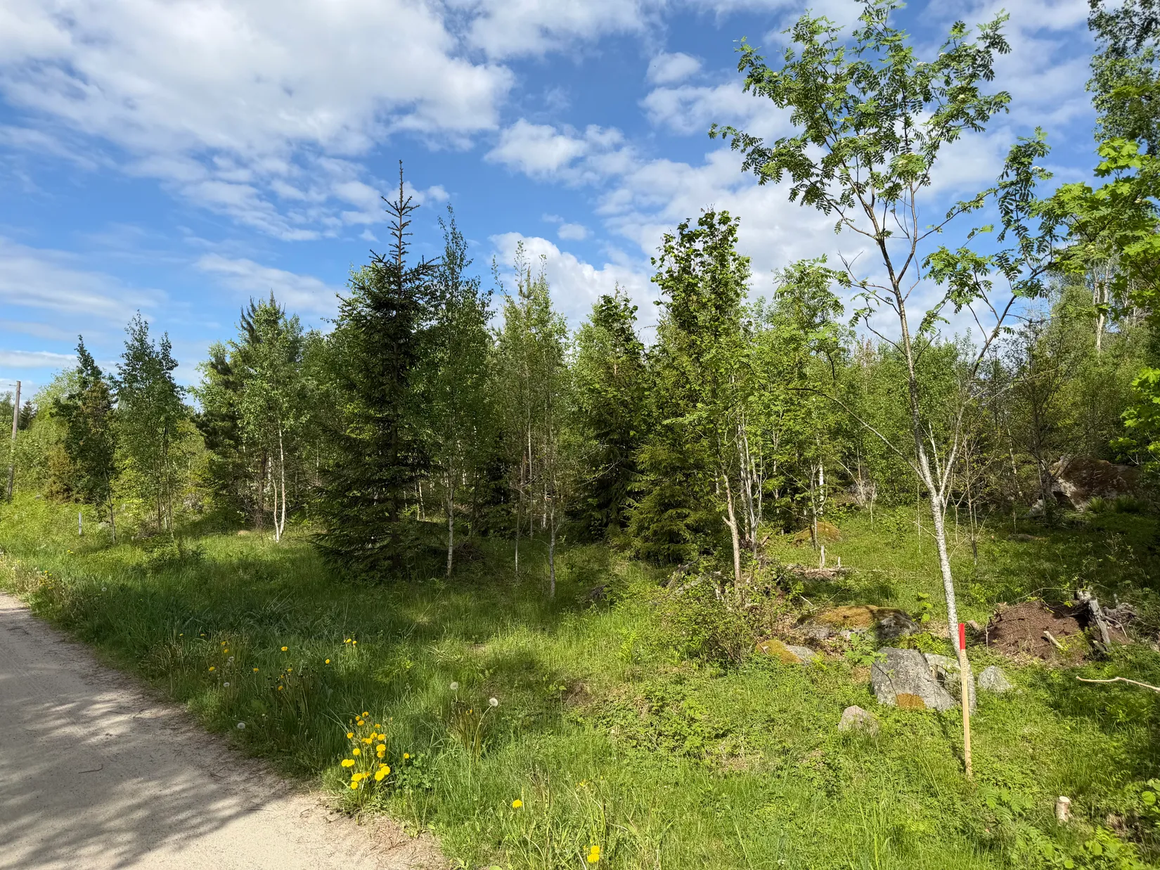 Tomt, Rilandavägen 54 & 56, Rö, Norrtälje