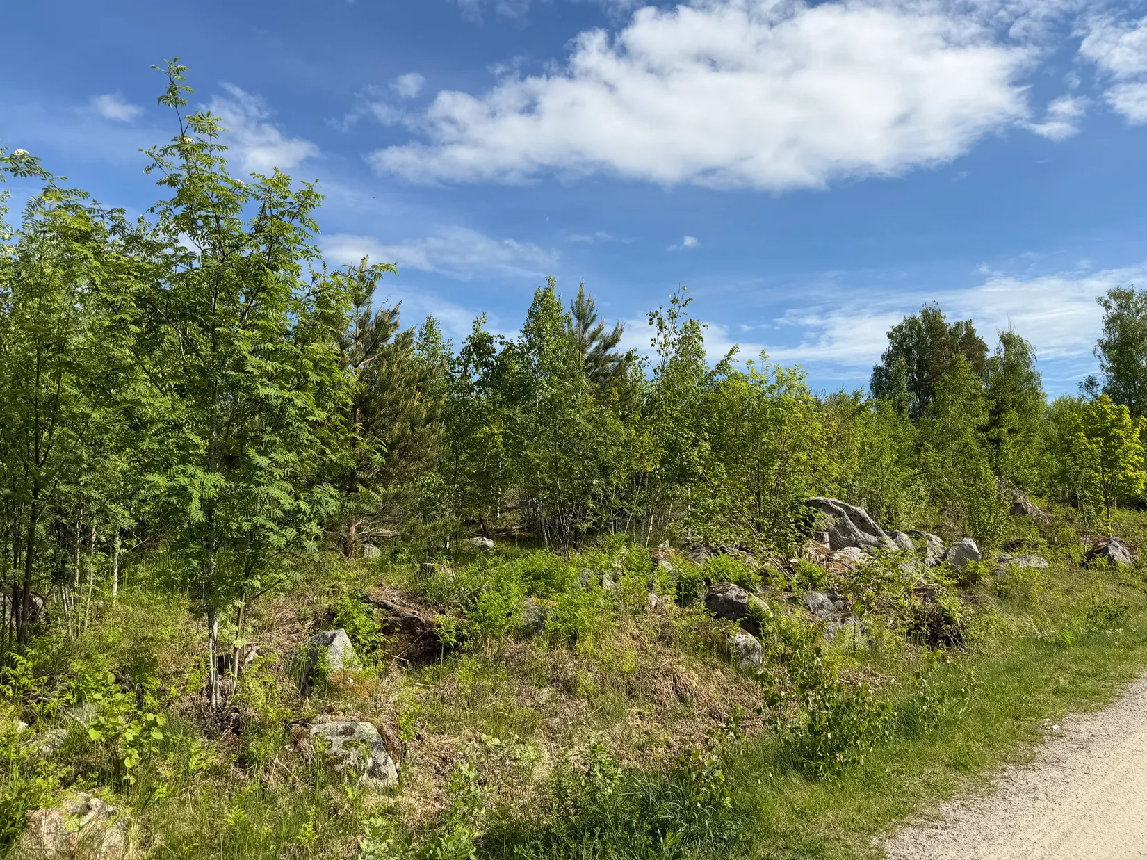 Tomt, Rilandavägen 54 & 56, Rö, Norrtälje