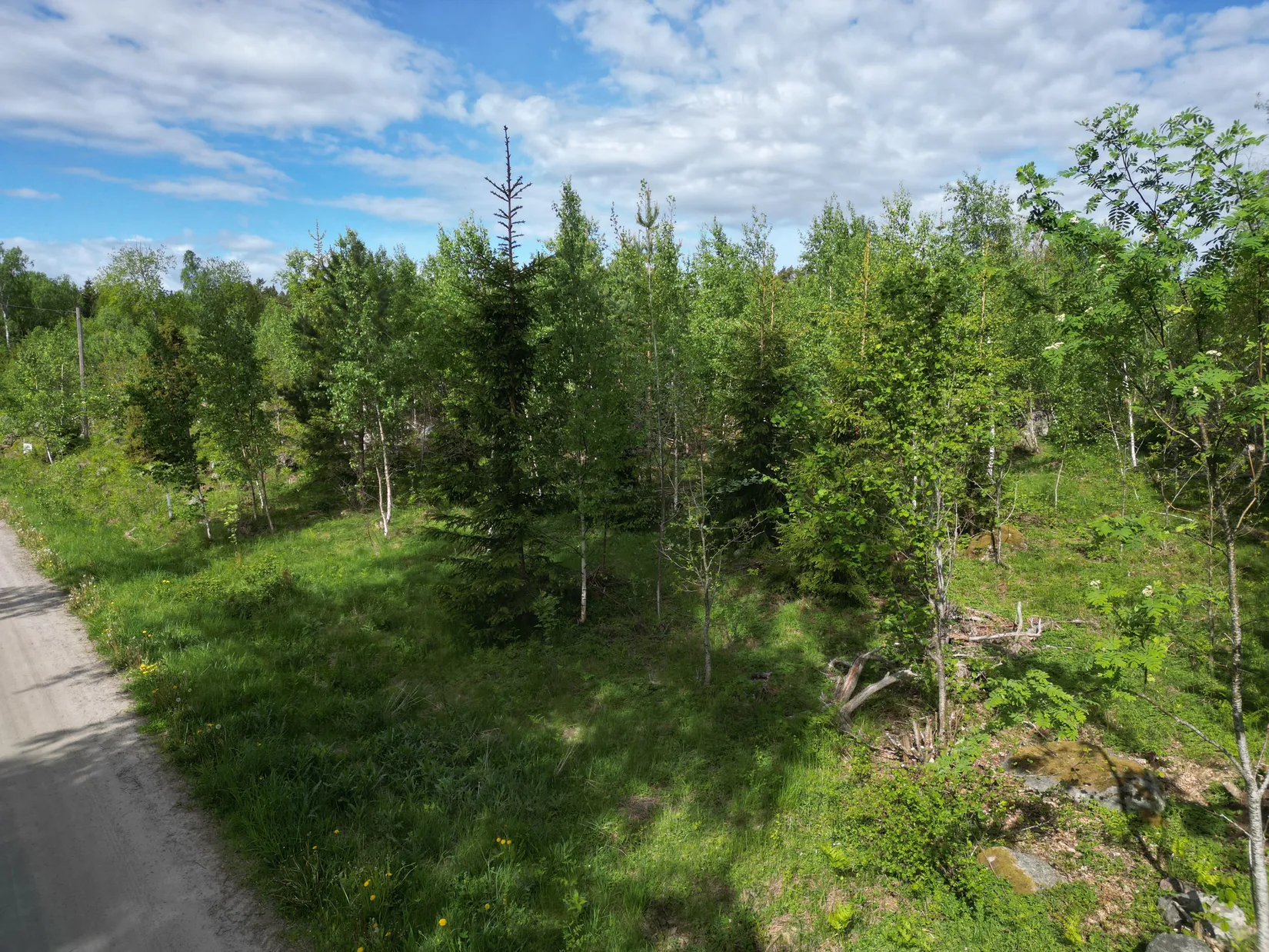 Tomt, Rilandavägen 54 & 56, Rö, Norrtälje