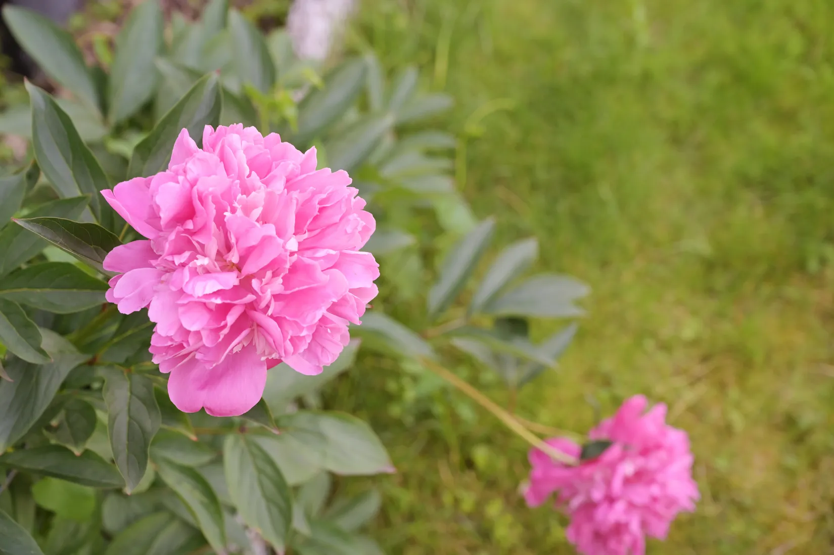 Villa, Skogsbrynsvägen 39, Färingsö Färjestaden, Ekerö