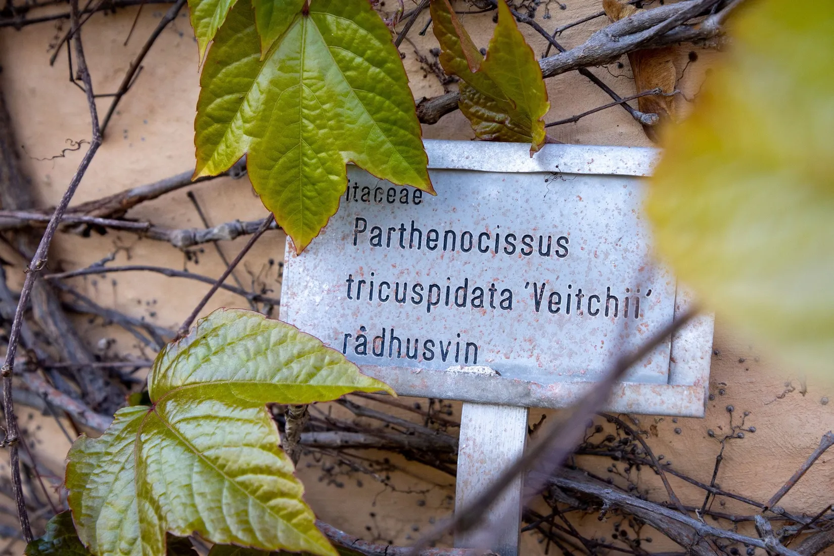 Bostadsrätt, Magna Sunnerdahls väg 2, Bro/Säbyholm, Upplands-Bro