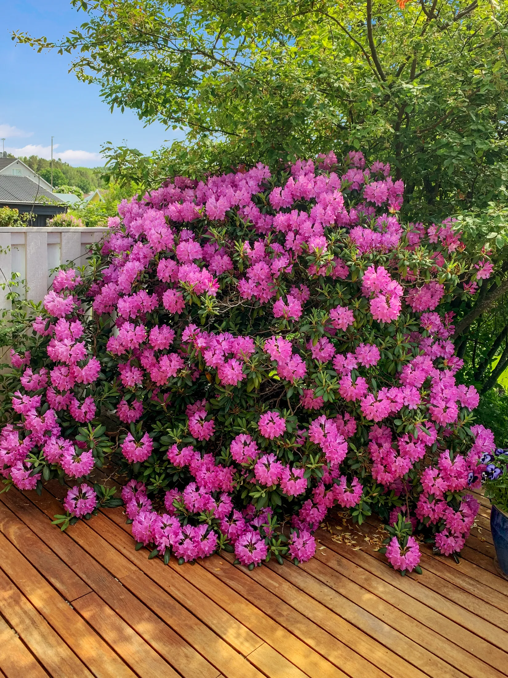 Villa, Nybodavägen 34, Västra Jakobsberg, Järfälla