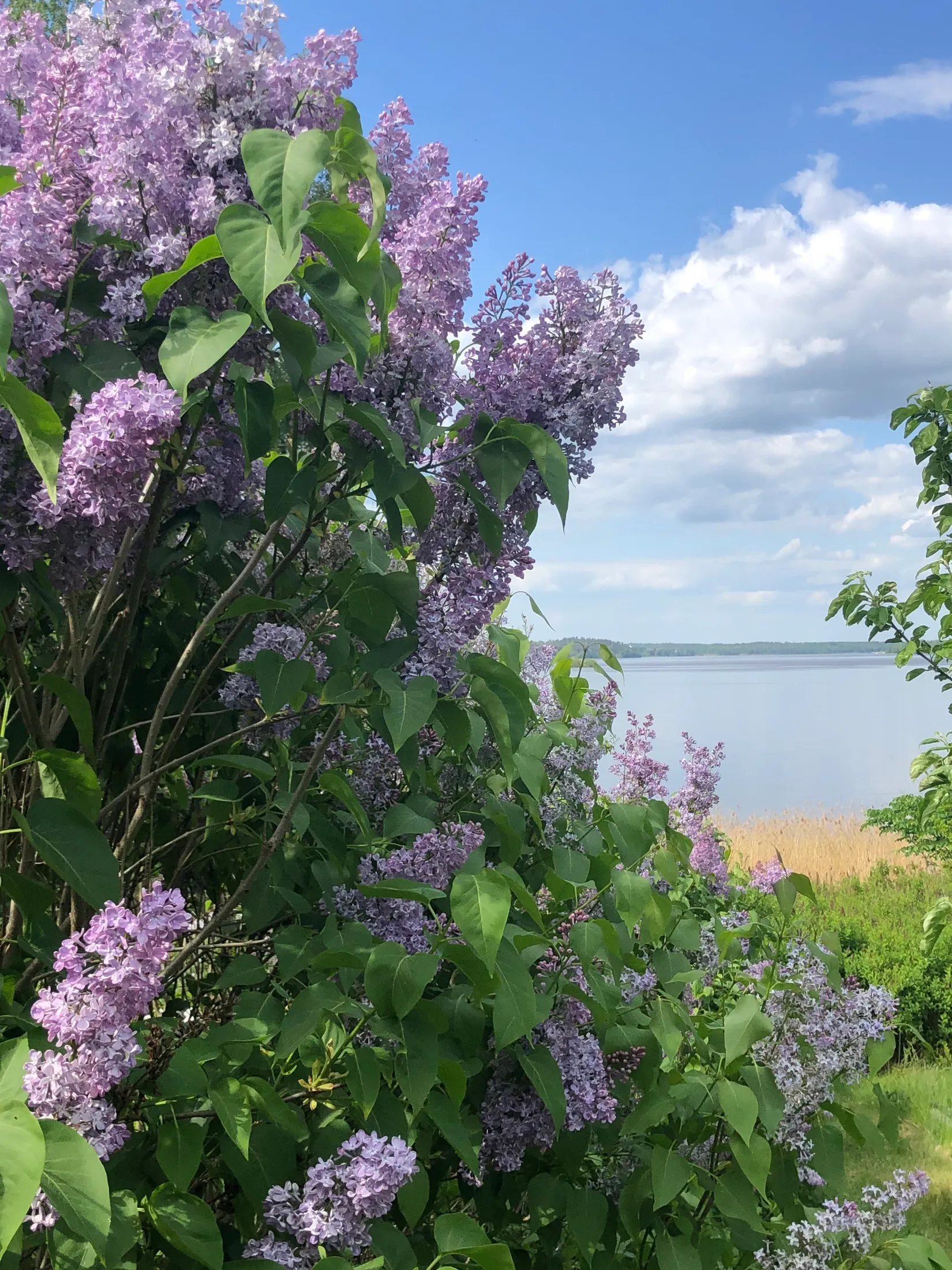 Övrigt, Travarvägen 36, Sigtuna - Granby, Sigtuna