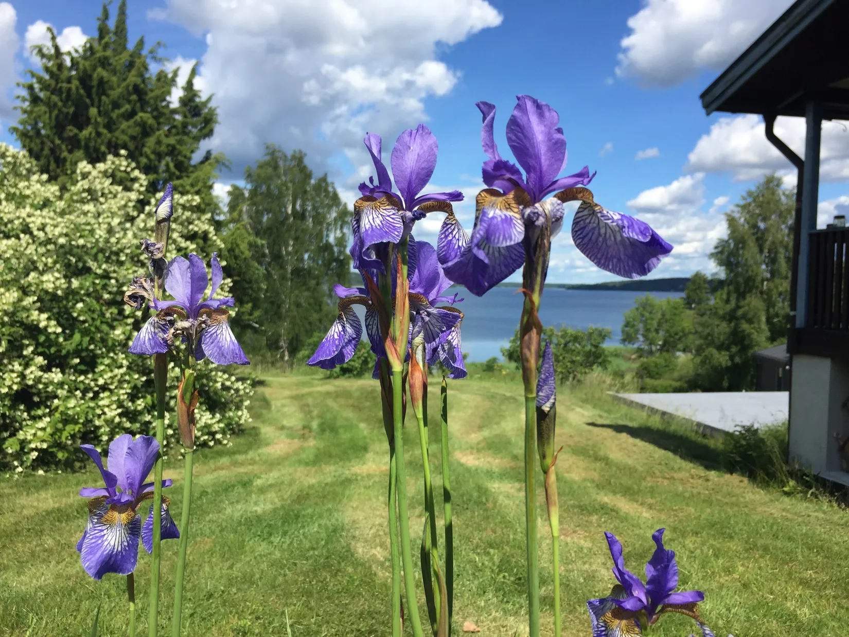 Övrigt, Travarvägen 36, Sigtuna - Granby, Sigtuna