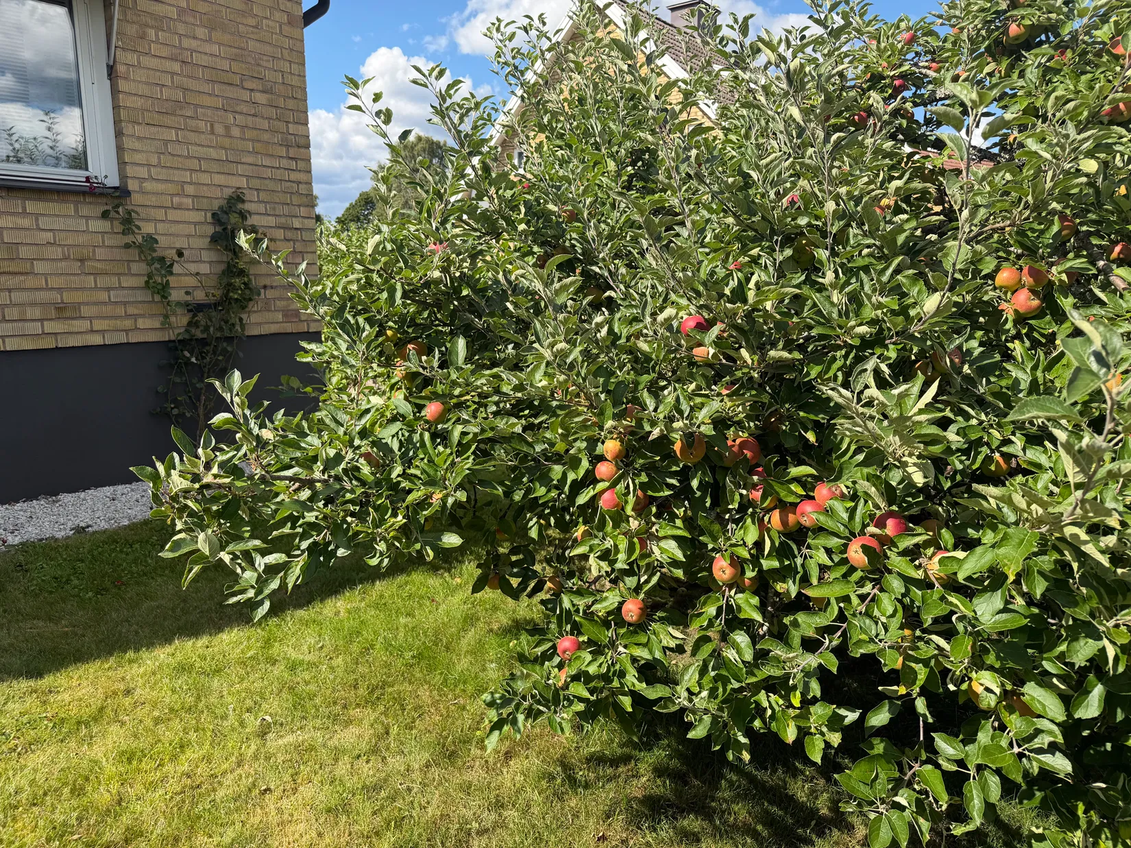 Villa, Tallgatan 6, Anderstorp, Gislaved