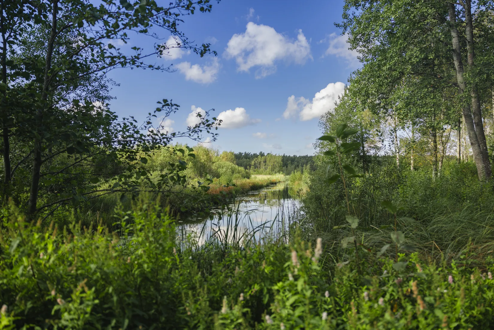 Bostadsrätt, Lillekärr södra 170, Hisings Kärra, Göteborg