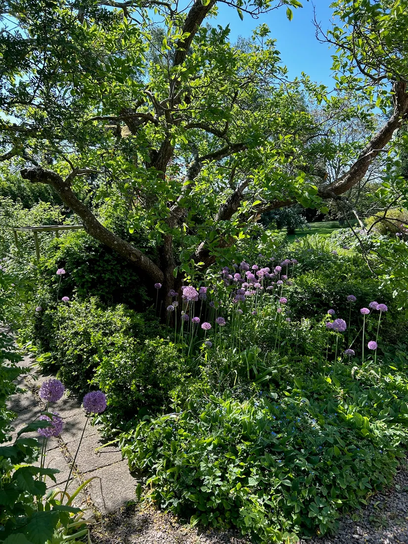 Villa, Ausåsvägen 579, Ausås, Ängelholm