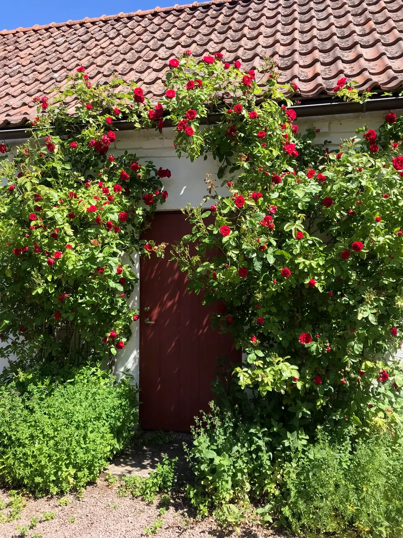 Villa, Ausåsvägen 579, Ausås, Ängelholm