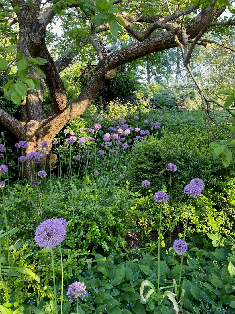 Villa, Ausåsvägen 579, Ausås, Ängelholm