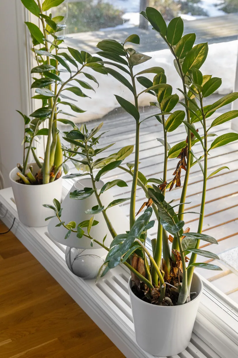 Fritidshus, Betesvägen 15, Evlinge, Värmdö