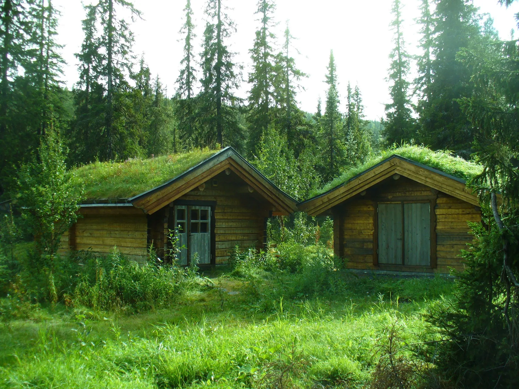 Tomt, Höglekardalen (tomt), Bydalen/Höglekardalen, Åre