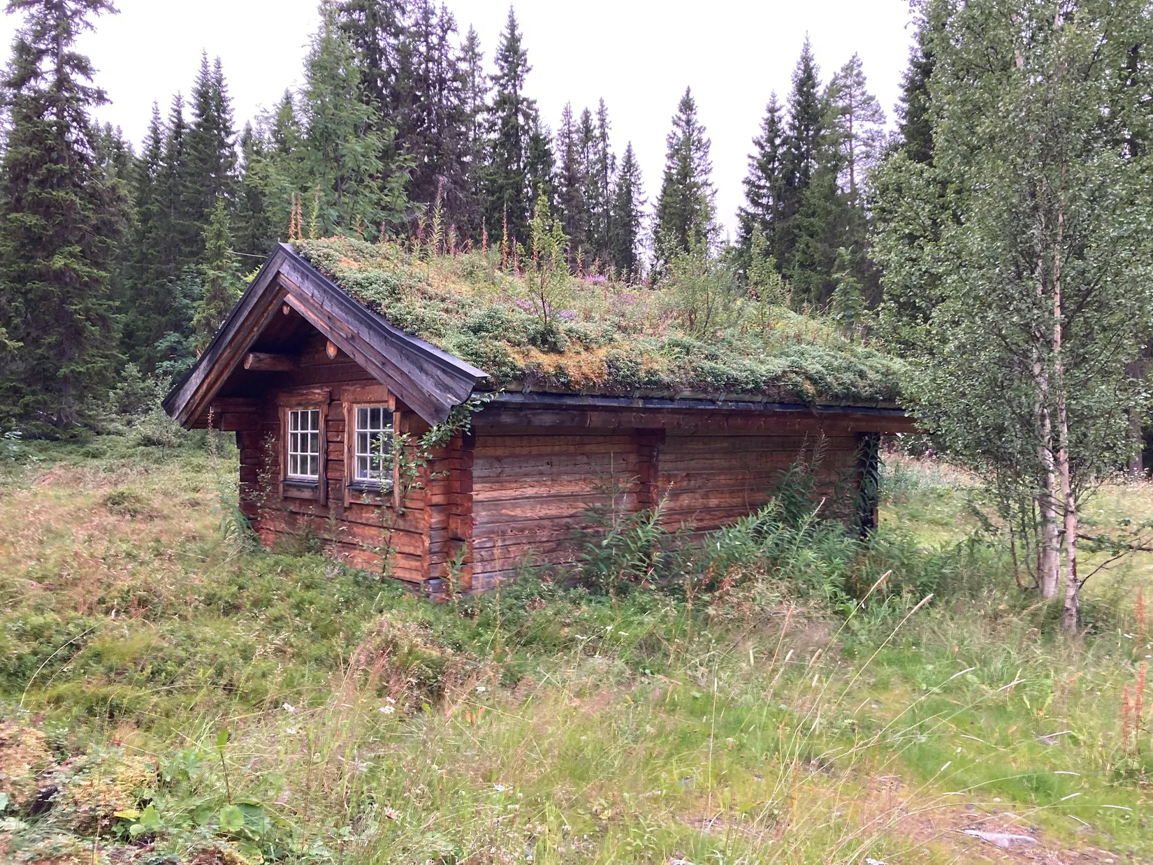 Tomt, Höglekardalen (tomt), Bydalen/Höglekardalen, Åre