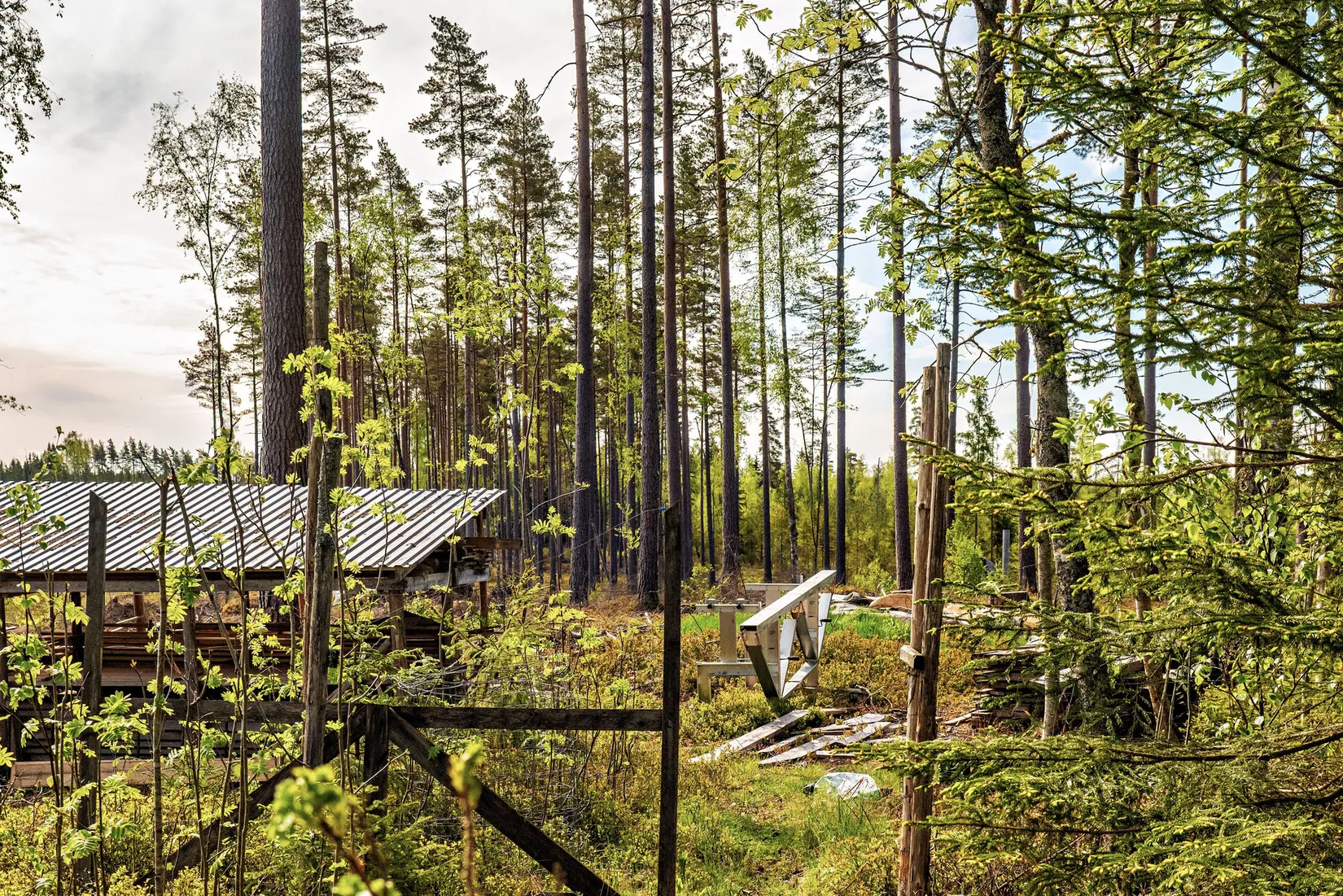 Gård/Skog, Farbrorstorp Klocktäppan 1, Lekeberg