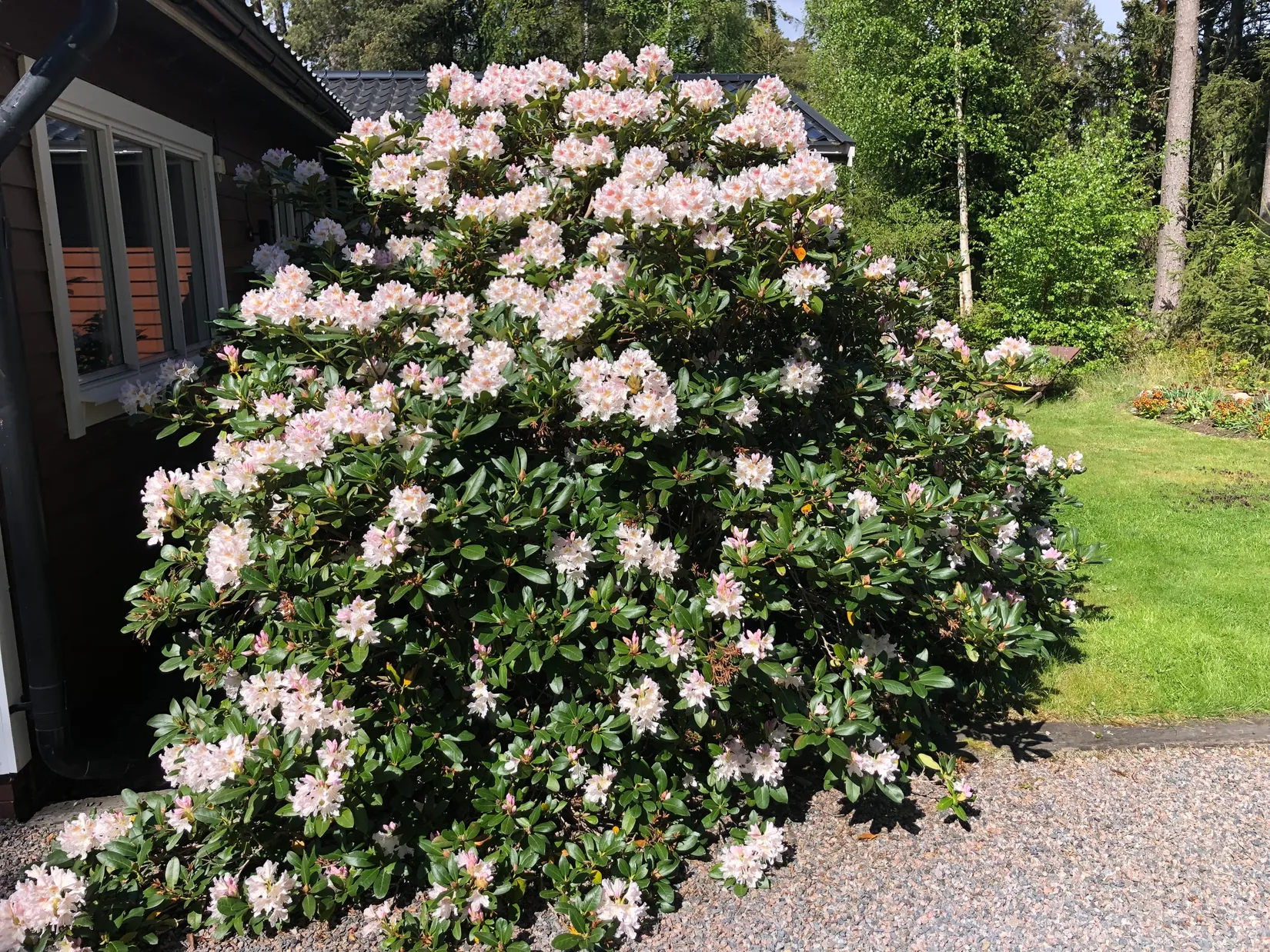 Villa, Jaktstigen 5, Eksund-Strandhugget, Norrköping