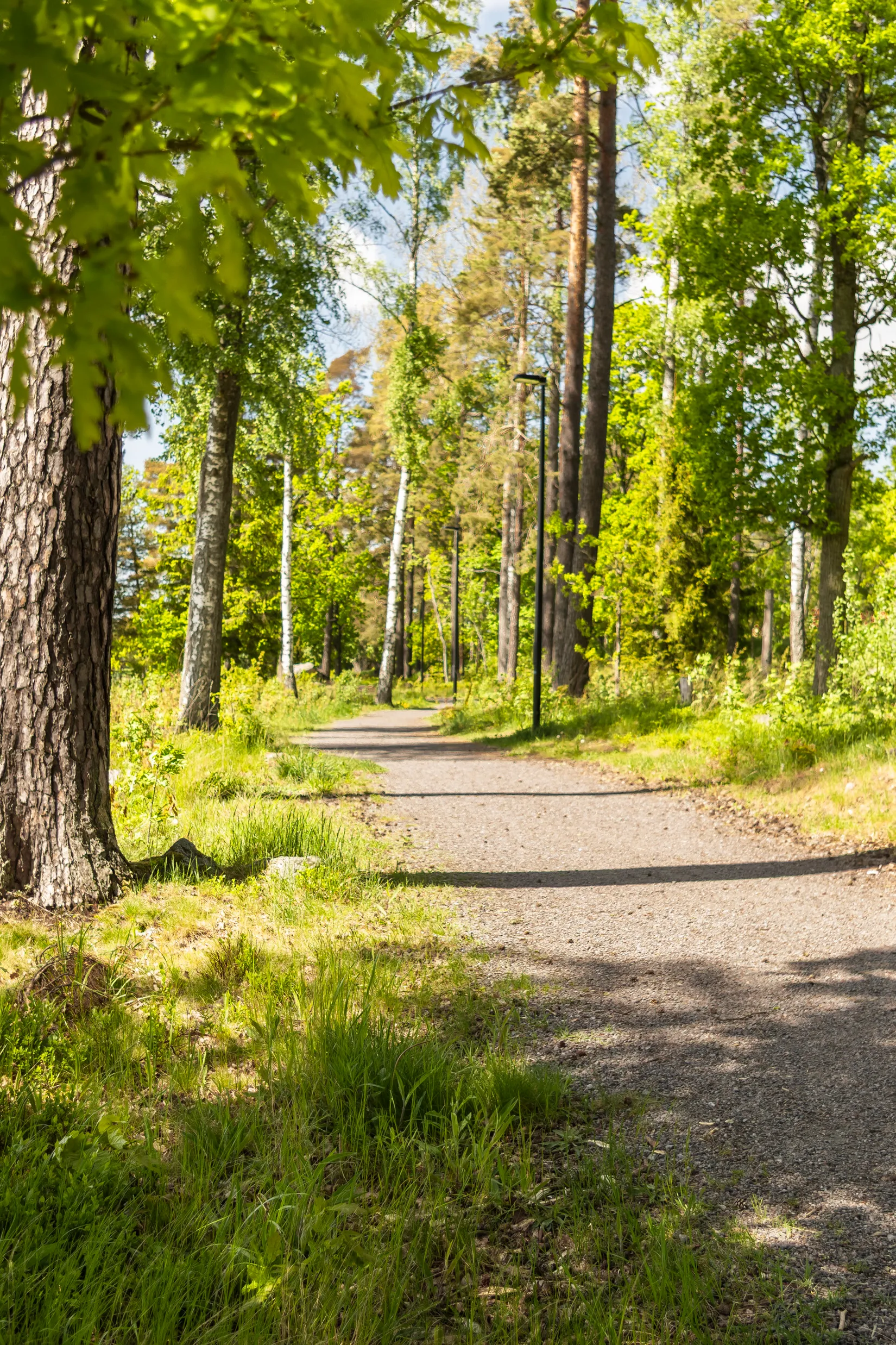 Bostadsrätt, Björnbärsbacken 3B, Katrineholm Talltullen, Katrineholm