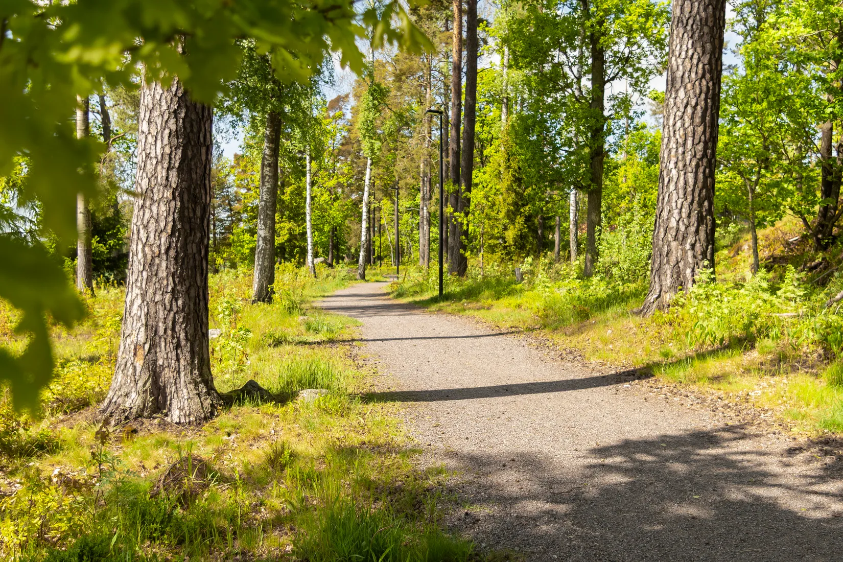 Bostadsrätt, Björnbärsbacken 3B, Katrineholm Talltullen, Katrineholm