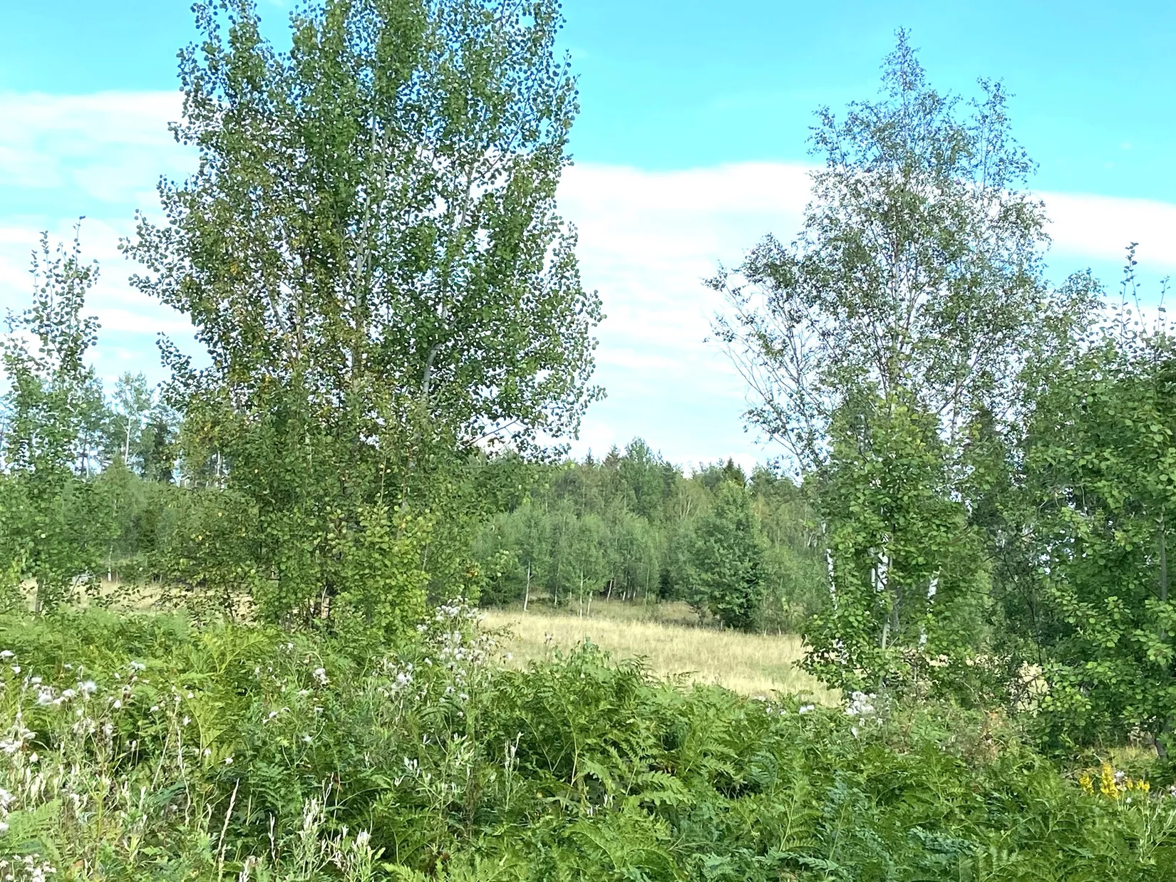 Tomt, Fiskeså 2:18, Malsättra, Norrtälje