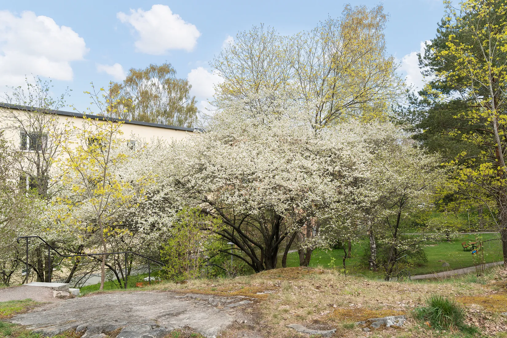 Bostadsrätt, Pingstvägen 52, Telefonplan / Midsommarkransen, Stockholm