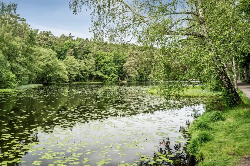 Bostadsrätt, Karl Staaffsgatan 22 C, Centrala Hisingen, Göteborg
