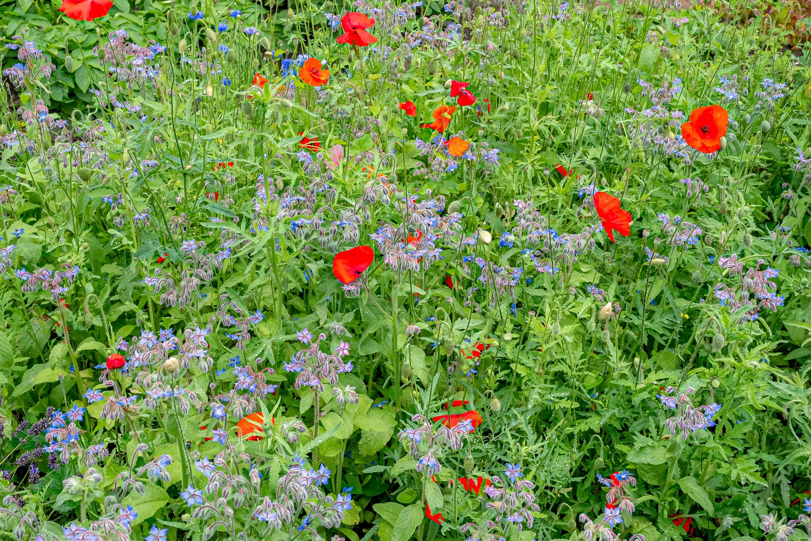 Bostadsrätt, Björnsonsgatan 329, Bromma - Blackeberg, Stockholm