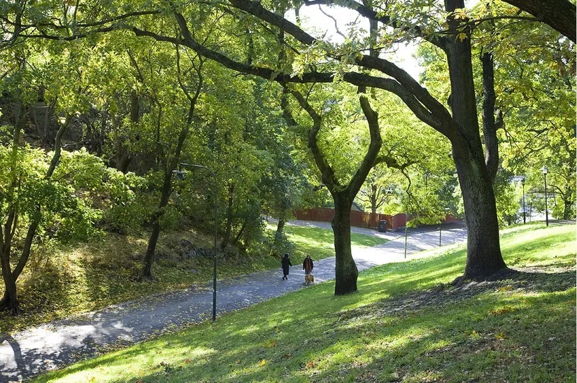 Bostadsrätt, Folkungagatan 118, Södermalm, Stockholm