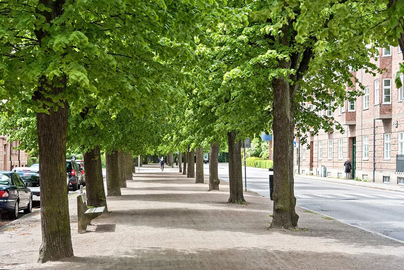 Bostadsrätt, Södra Esplanaden 18C, Lund - Centrum, Lund