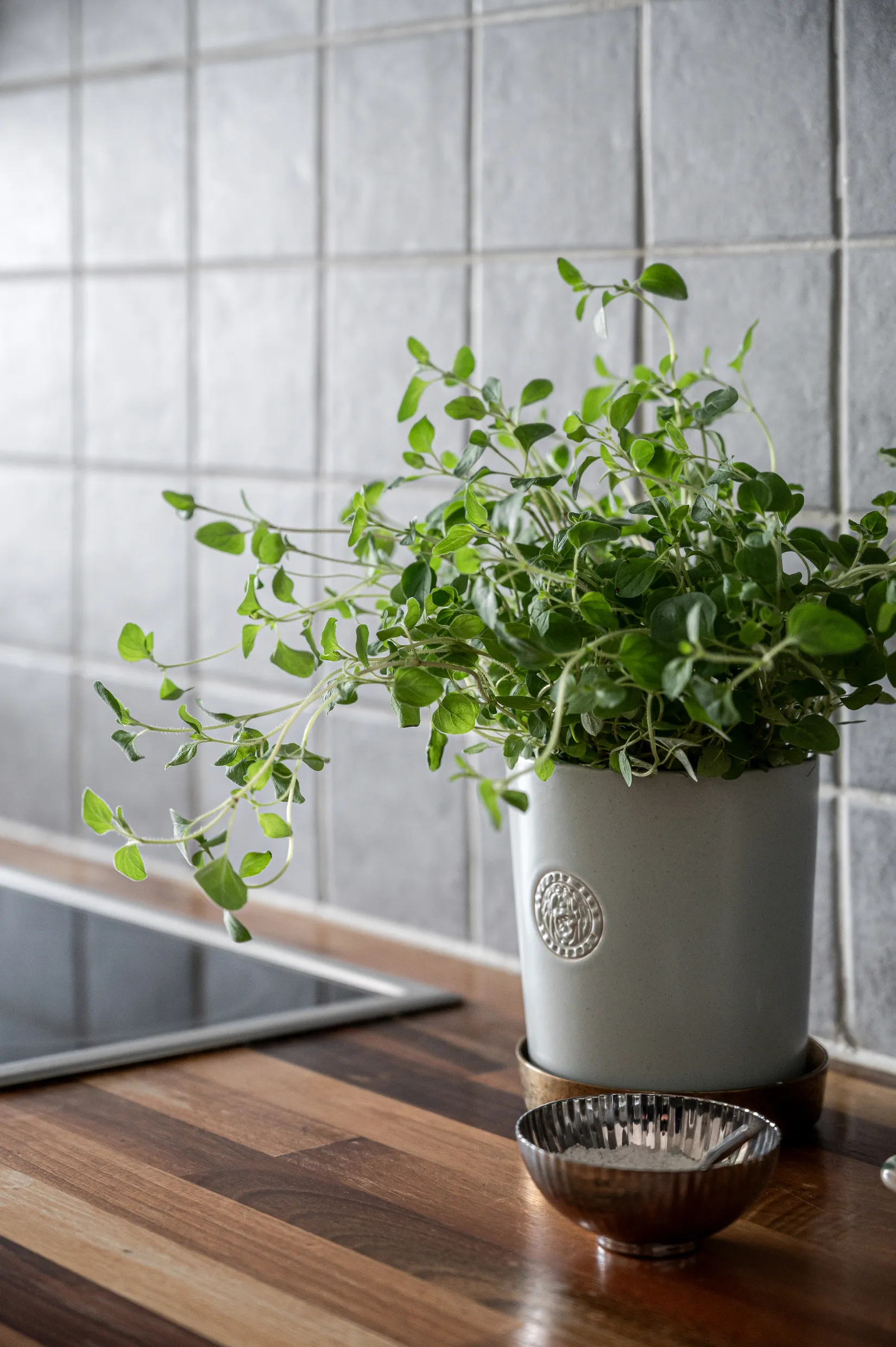 Bostadsrätt, Södra Esplanaden 18C, Lund - Centrum, Lund